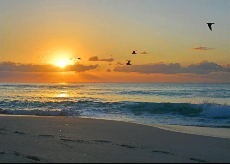Amazing Beachfront Apartment Cancún Esterno foto
